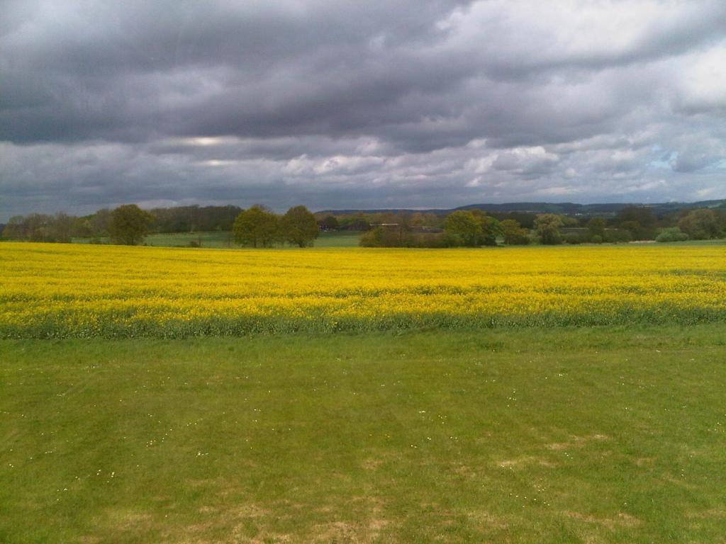 Plumpton House Otel Ashford  Dış mekan fotoğraf